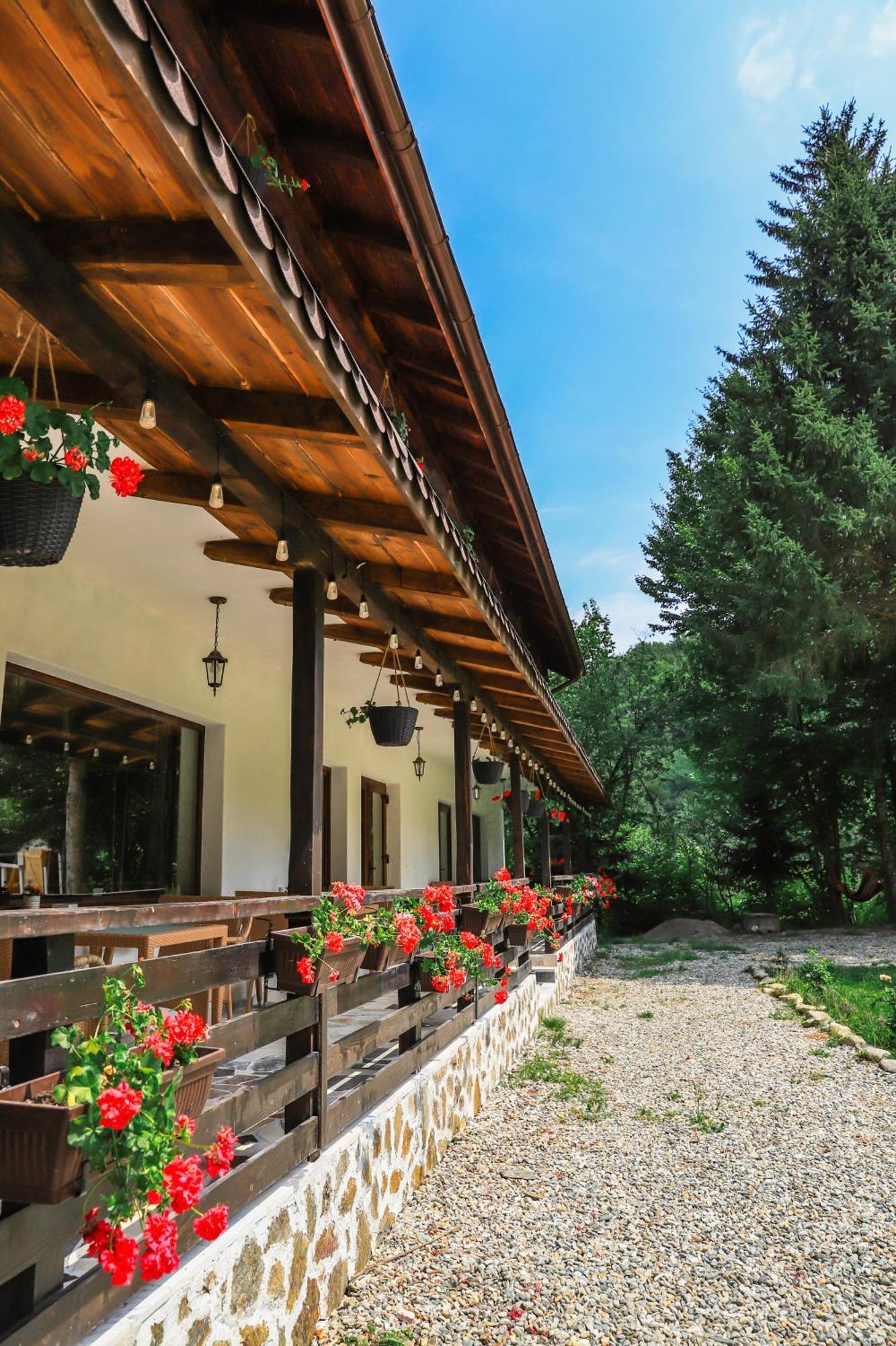 Pensiunea Vinatur Porumbacu de Sus Exterior foto